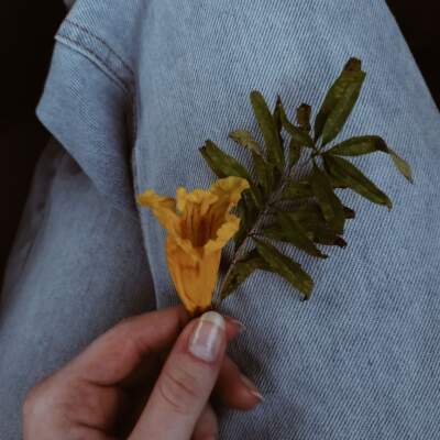 دانلود آهنگ  ای مرا با شور شعر آمیخته